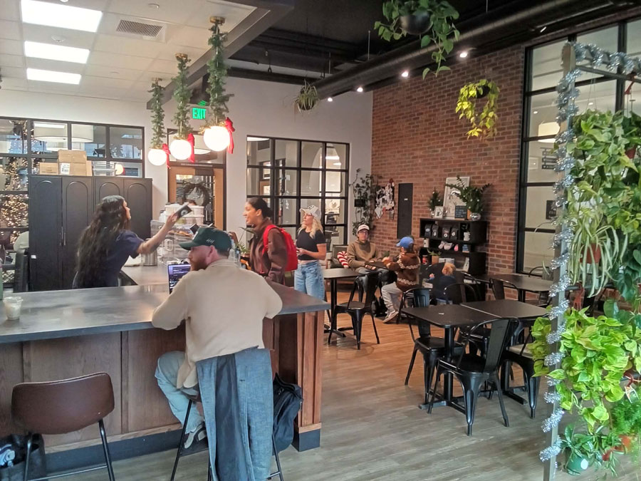 ZZ Coffee and the Plant Box