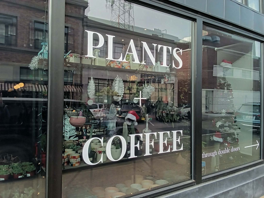 Zz Coffee and the Plant Box