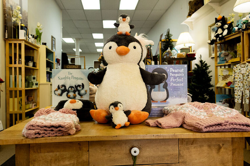 A display at Lyn's Downtown has been in business for over 34 years and expects a decent showing for Small Business Saturday. | Daniel V. Ramirez, EastIdahoNews.com