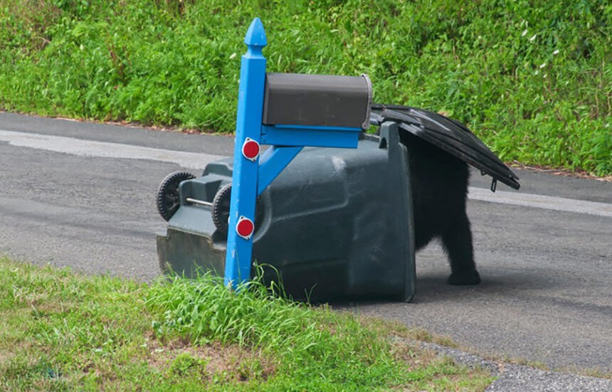 adobestock 837056762