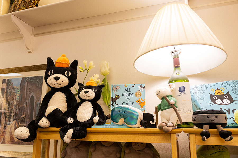 Owner of Lyn's Downtown, Lyn Pletscher said one of the hot items for her store have been the Jellycat plushies. | Daniel V. Ramirez, EastIdahoNews.com