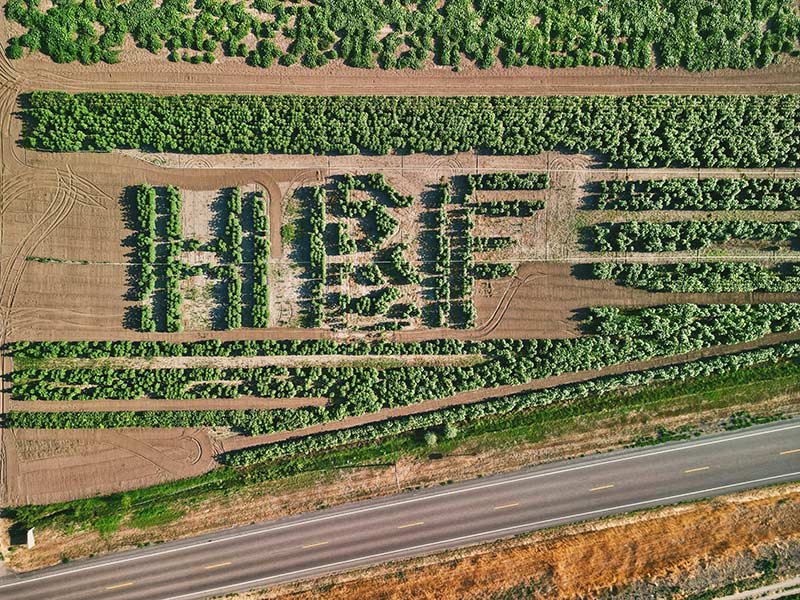 Courtesy Brandon Hurst