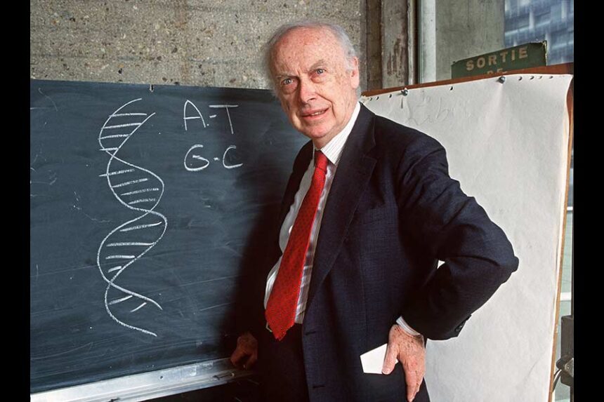 American geneticist James Dewey Watson explains his work to discover the molecular structure on DNA for which he shared the 1962 Physiology and Medicine Nobel Prize with Francis Crick and Maurice Wilkins. Mandatory Credit: Daniel Mordzinski/AFP/Getty Images via CNN Newsource