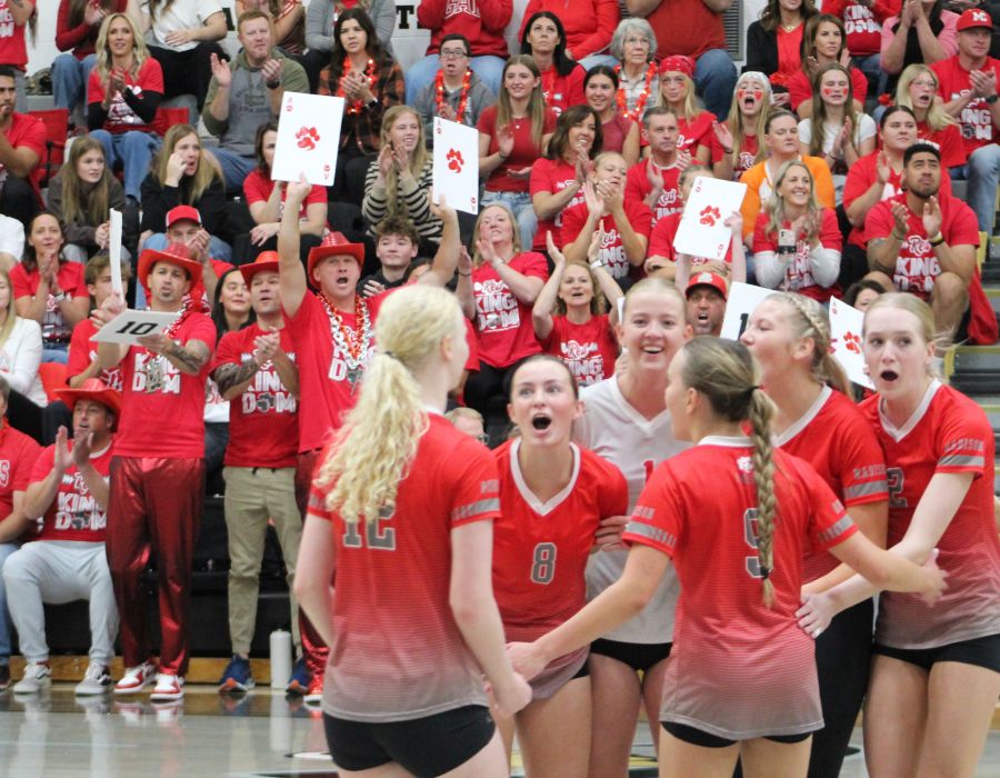 Madison players and their fans celebrate a point against Skyview during Saturday's 6A state tournament. | Allan Steele, EastIdahoSports.com.