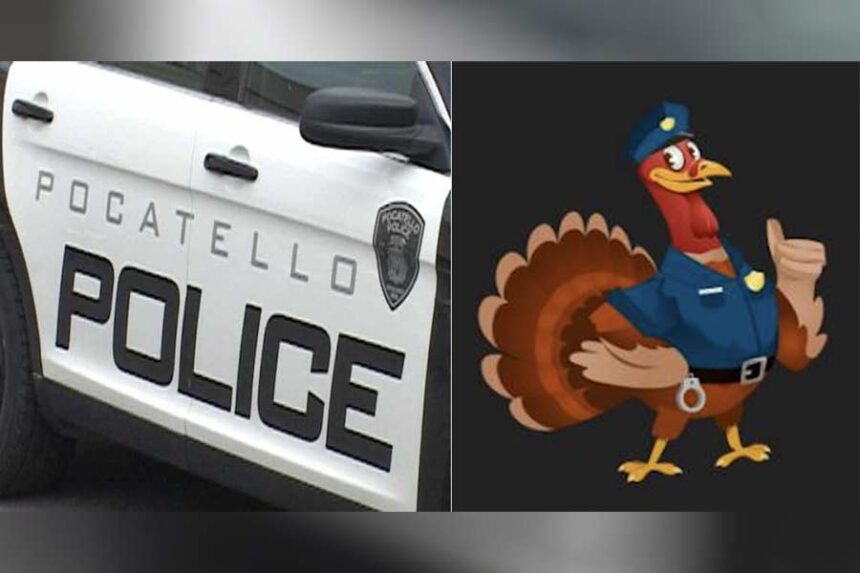 pocatello police bird