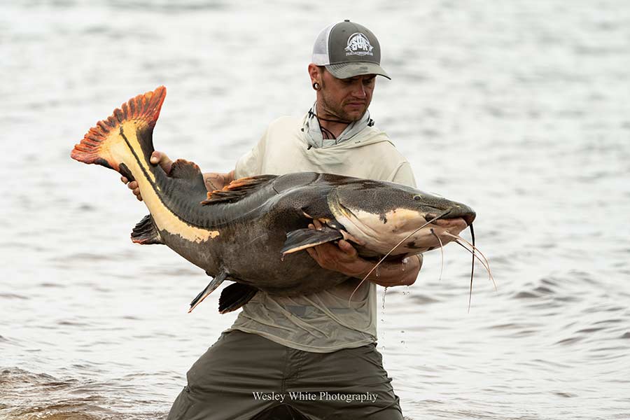 Courtesy Wesley White