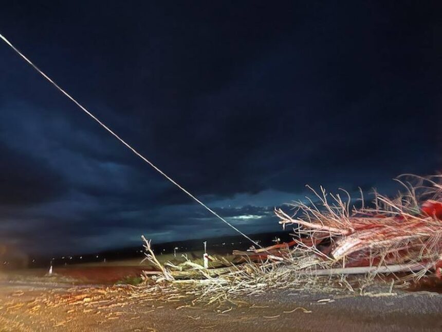 600352860 1304903115001906 2610325882414871178 n