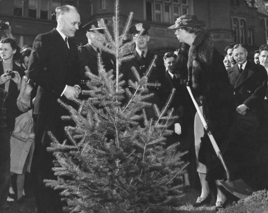 EleanorRooseveltTree