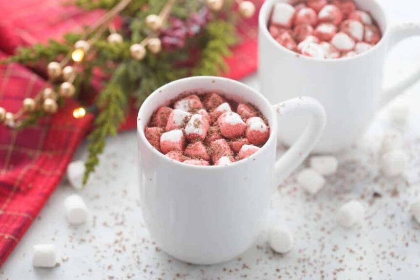 Holiday Hot Chocolate 19