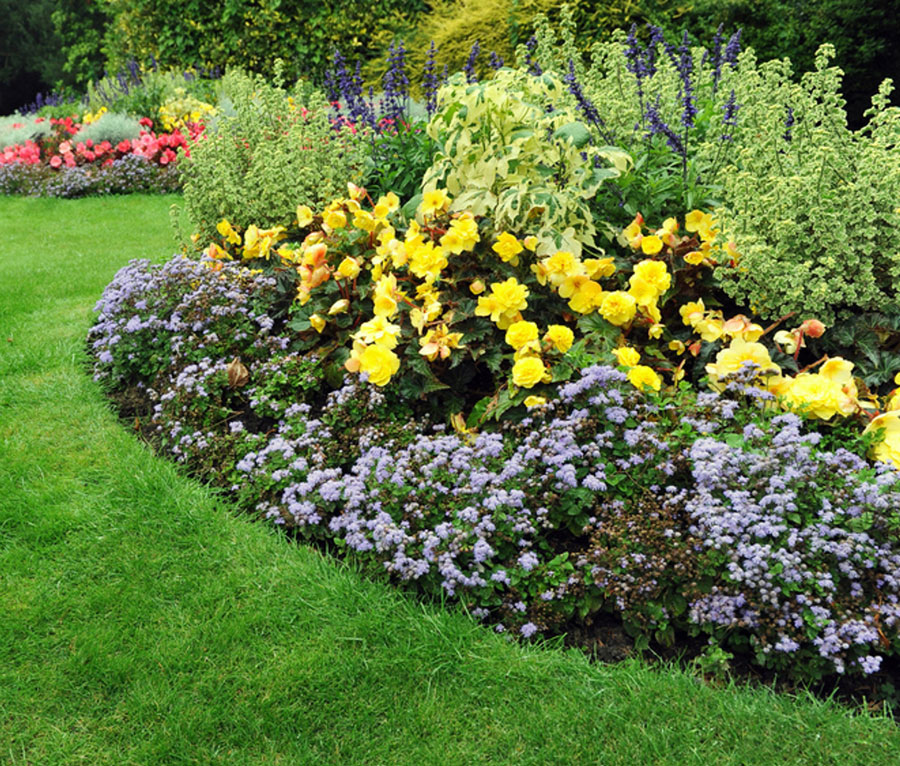 Figure 3 Layering keeps lower profile plants in front and enhances the feel of your landscape. Photo credit: Bracken Henderson