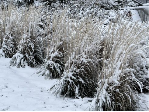 Screen Shot 2025 12 21 at 6.15.47 PM