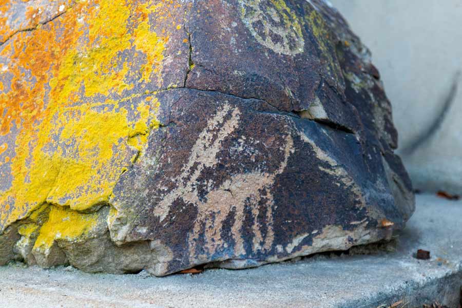 close-up of petroglyph