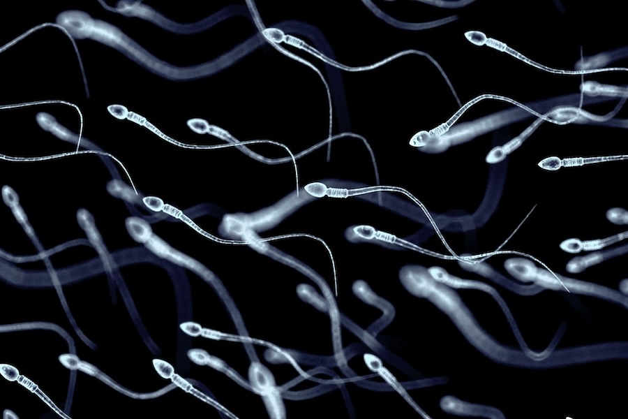 At least 197 children were fathered by sperm donor with cancer-causing gene. Some have already died.
