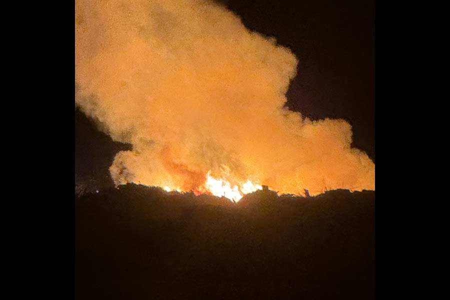 Courtesy photo and video