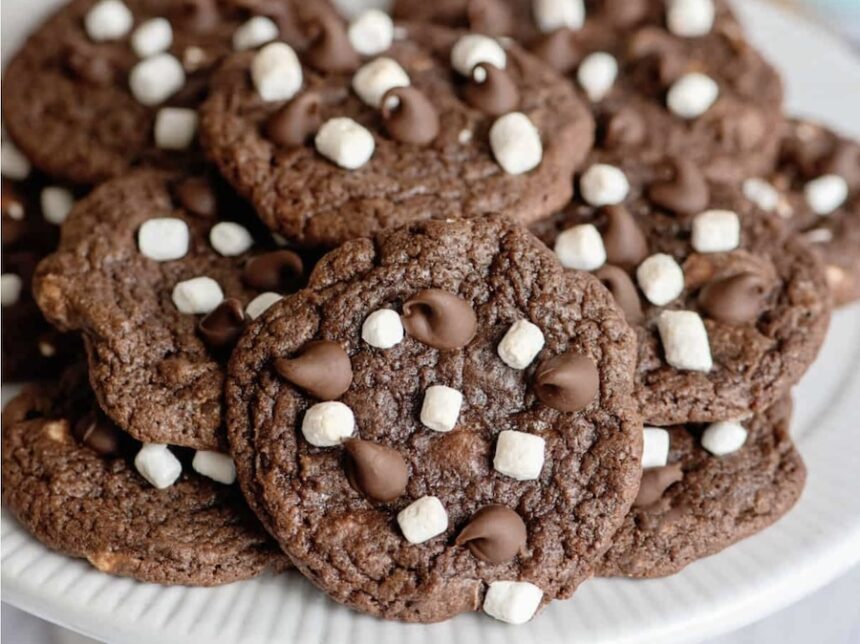 hot chocolate cookies