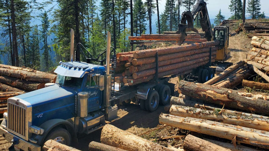 Idaho plans to ramp up logging activity on U.S. Forest Service land through a new Shared Stewardship agreement. (Photo courtesy of Gov. Brad Little's office)