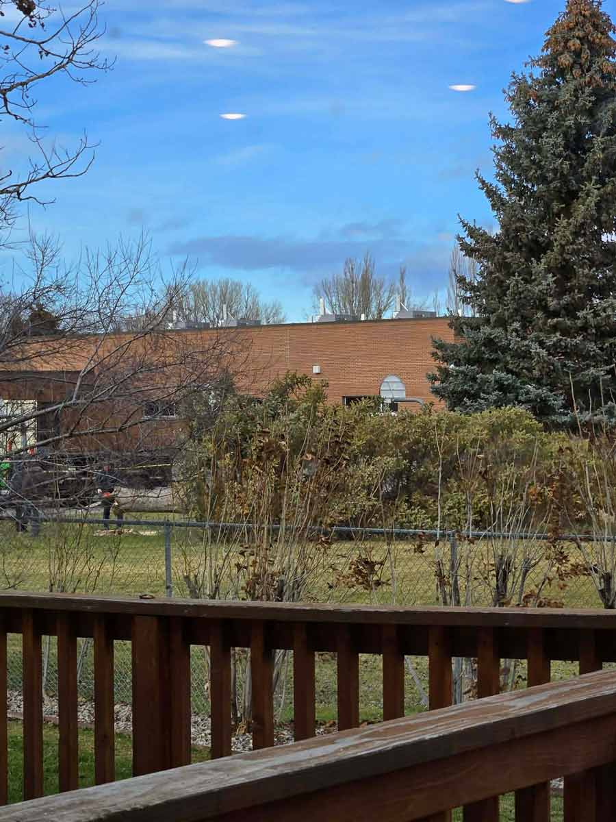 Tree being taken down at Sunnyside Elementary. | Courtesy of Andrea Mathison