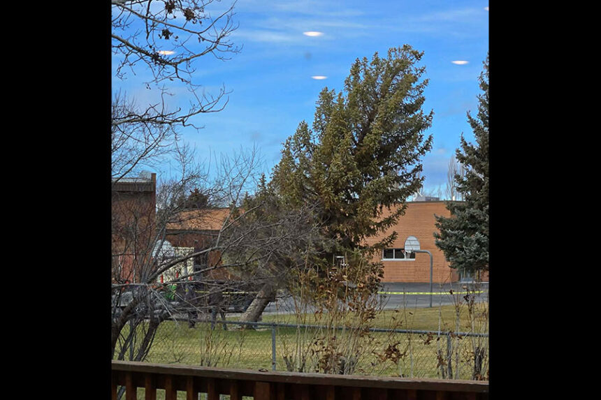 Tree is cut down at Sunnyside Elementary due to high winds. | Courtesy of Andrea Mathison