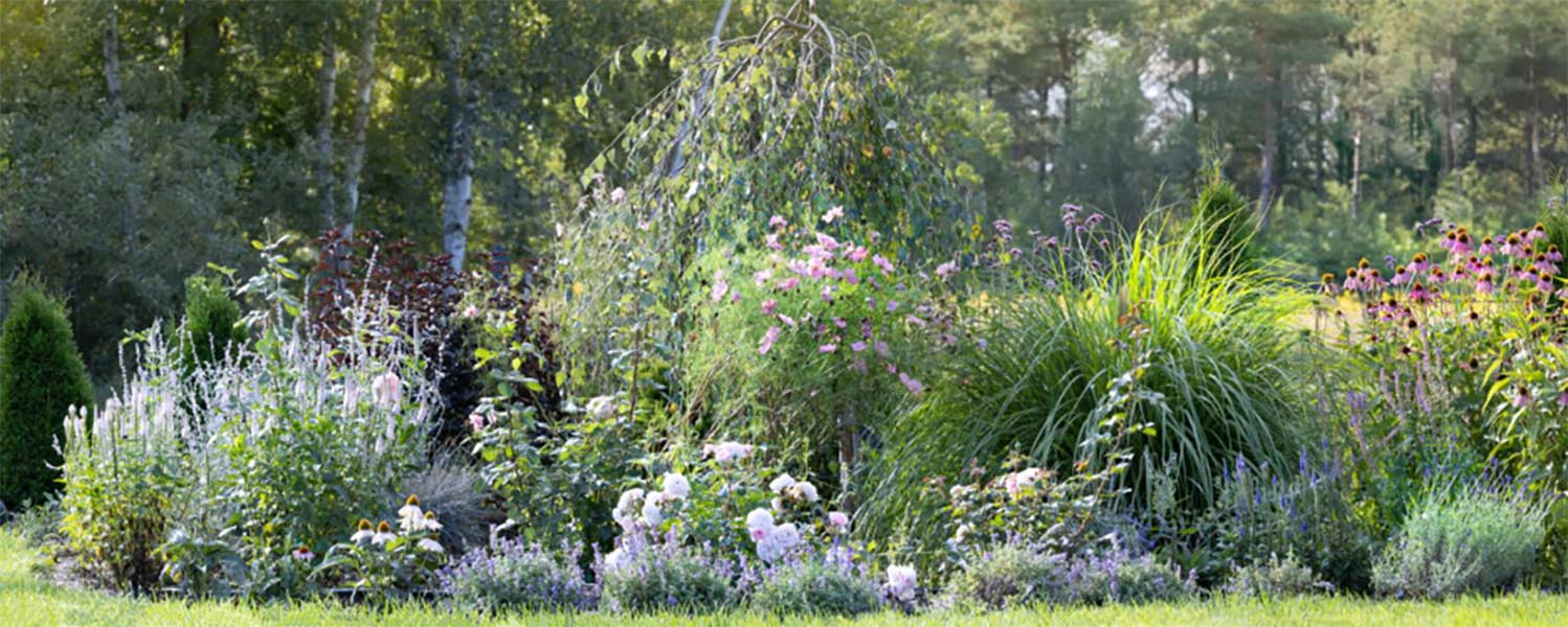 This planting bed shows how higher-water plants perform best when grouped together in a consistently irrigated zone. Photo credit: Adobe Stock Images.