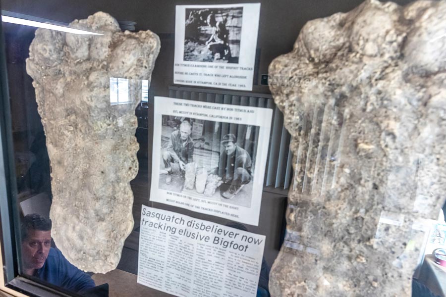 Fred Schuellerman is reflected in the glass of one of his framed Bigfoot footprints on Tuesday in Moscow. | August Frank, Lewiston Tribune