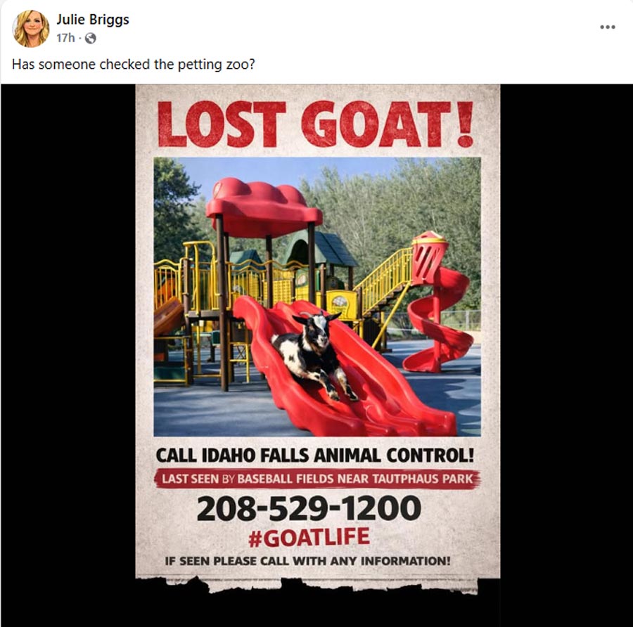 A Facebook post for the escaped goat in Idaho Falls