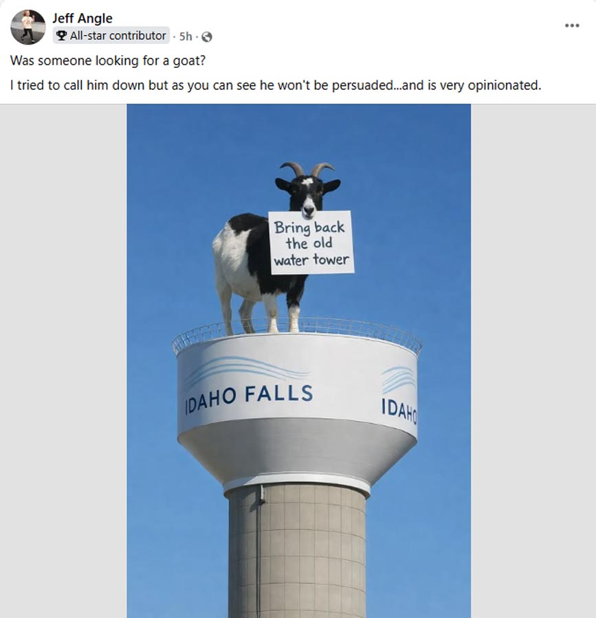 A Facebook post for the escaped goat in Idaho Falls