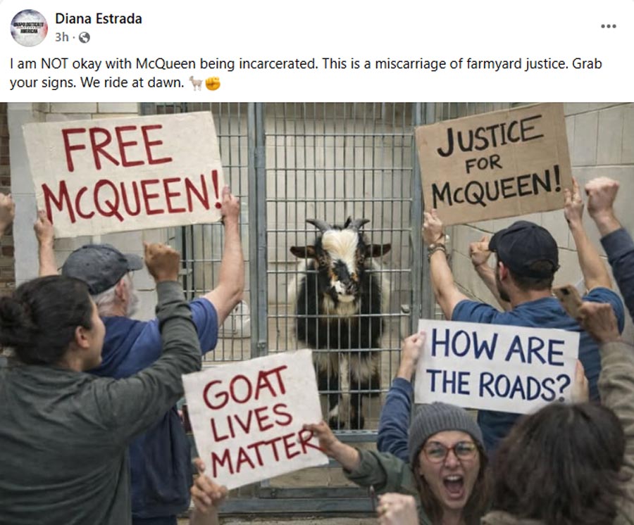 A Facebook post for the escaped goat in Idaho Falls