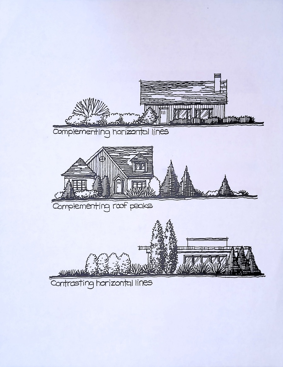 Image 2 Complementing house lines with landscape