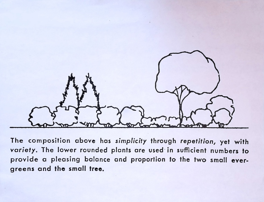 Image 4 simple composition with variety