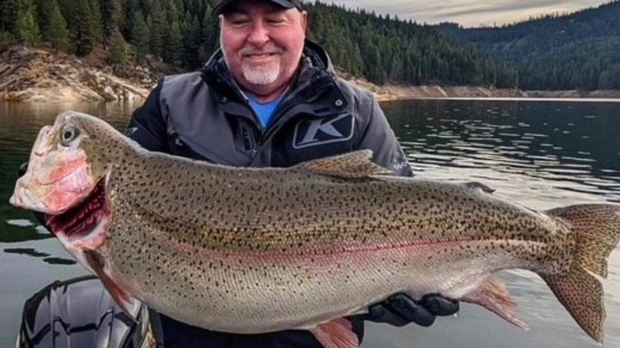 Idaho angler lands rainbow trout weighing over 20 pounds. Was that a record?