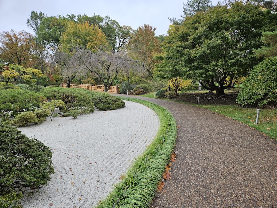 Photo 1 Rounded Form and Line