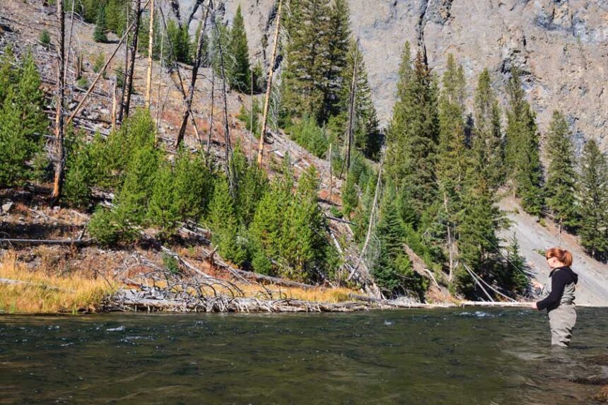Yellowstone Fly Fishing