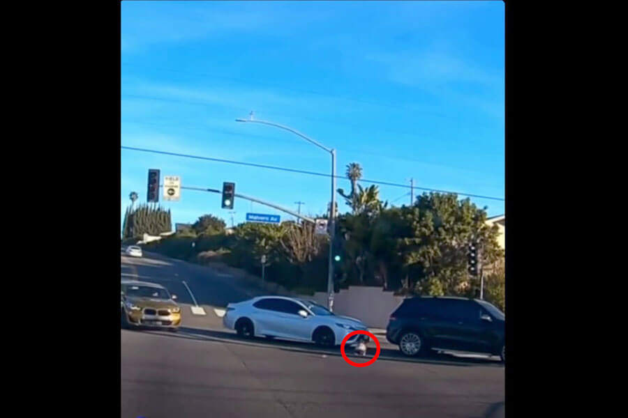 Woman arrested after video shows toddler falling out of moving SUV