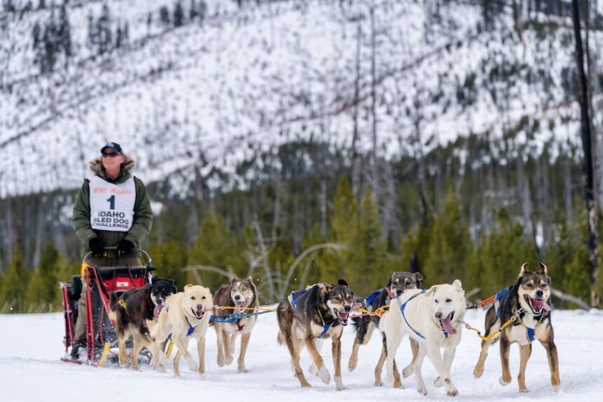 2026 ISDC WLSR 4th RexMumford CreditMelissaShelby