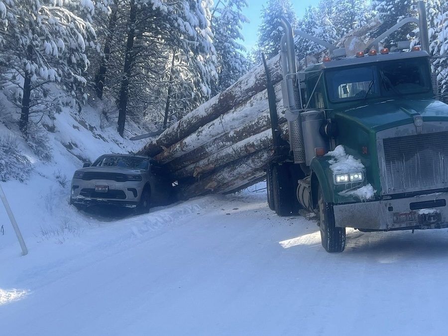 Idaho sheriff deputies crawl out after logging truck crushes patrol vehicle