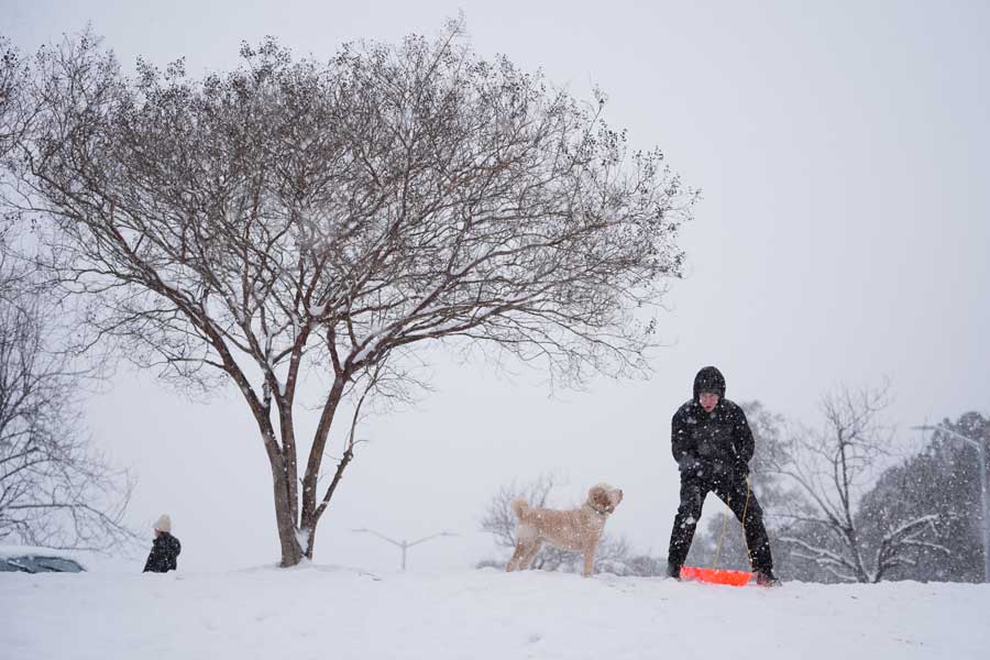 Alex Taylor, accompanied by his dog Daisy, prepared to slide down a snow-covered hill in Charlotte, N.C., Saturday, Jan. 31, 2026.