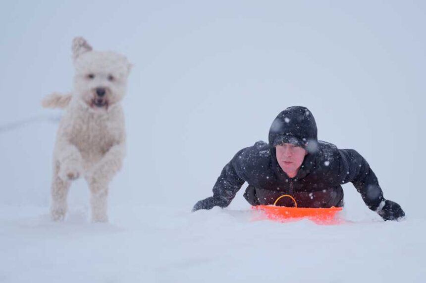 Alex Taylor, 23, and his dog Daisy, make their way down a snowy hill in Charlotte, N.C., Saturday, Jan. 31, 2026.