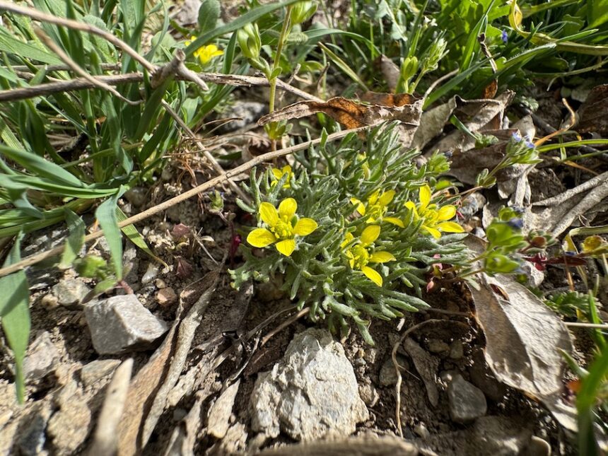 AdobeStock 1337137758