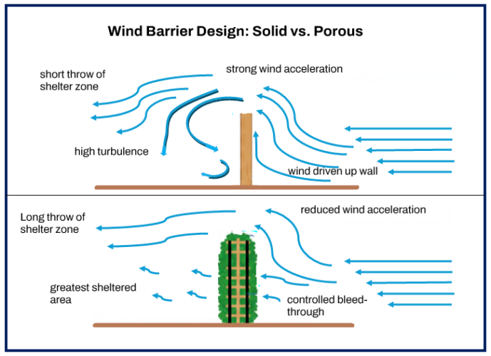 Sun and wind: Designing for east Idaho microclimates - East Idaho News
