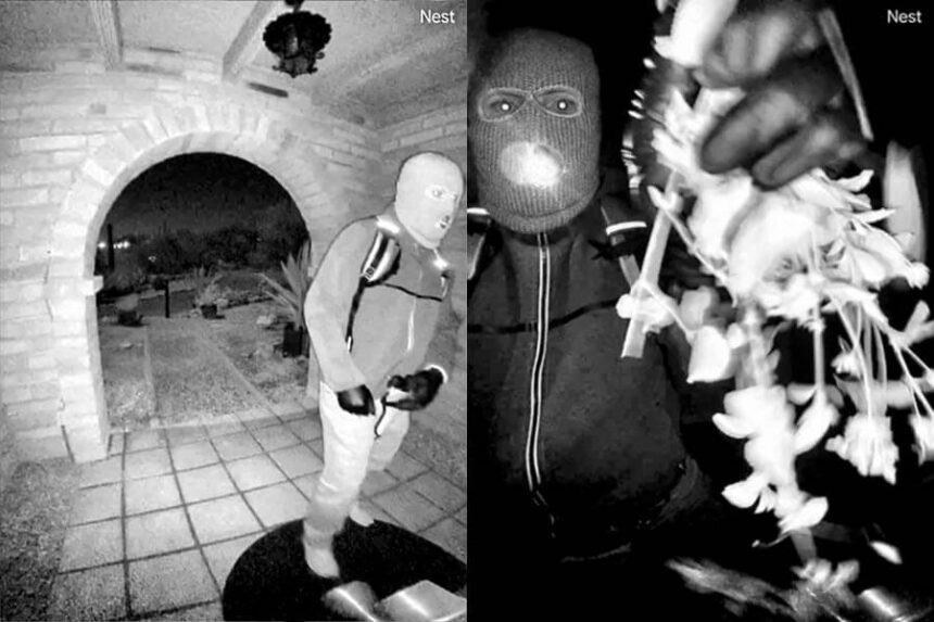 Guthrie kidnapping suspect on video