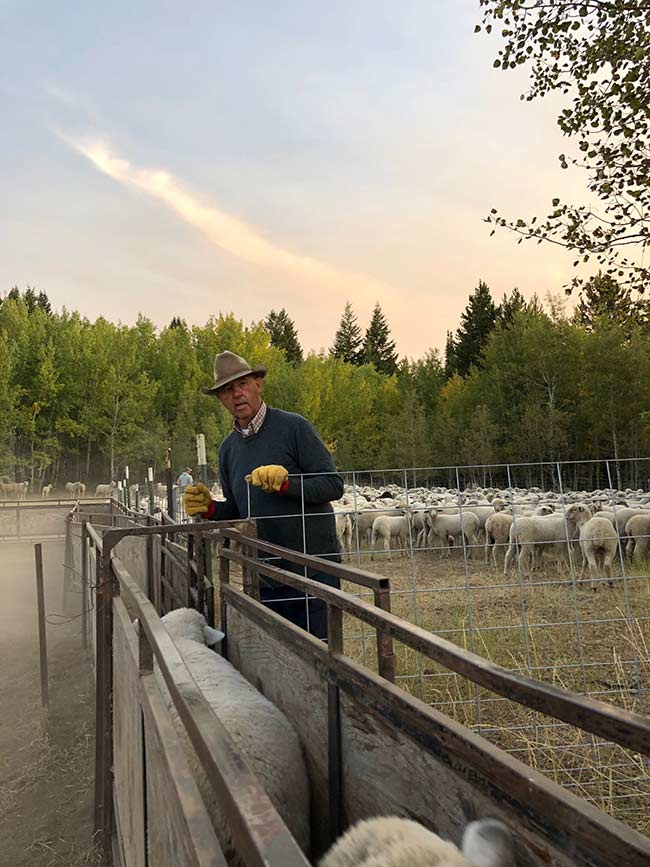 Jeff counting sheep on the family ranch. | Courtesy Cindy Siddoway