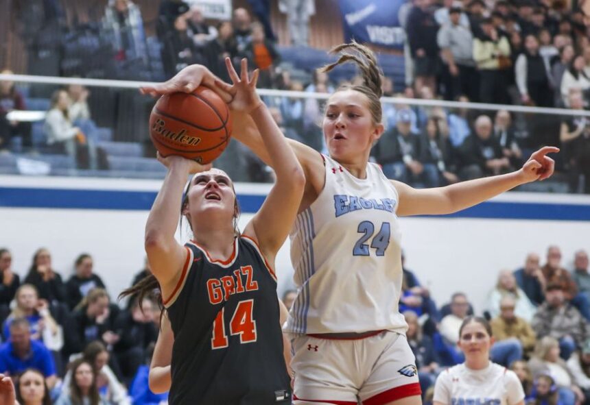 Marsh Valley junior Zayli Merzlock blocks a shot by Fruitland sophomore Karli Roubidoux on Thursday, Feb. 19, 2026, during the first round of the girls state basketball tournament at Skyview High School in Nampa. Marsh Valley defeated Fruitland 53-50 to advance to the semi-final game. Photo by Pat Sutphin