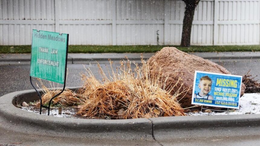 BOI 1201 05 michaelvaughan