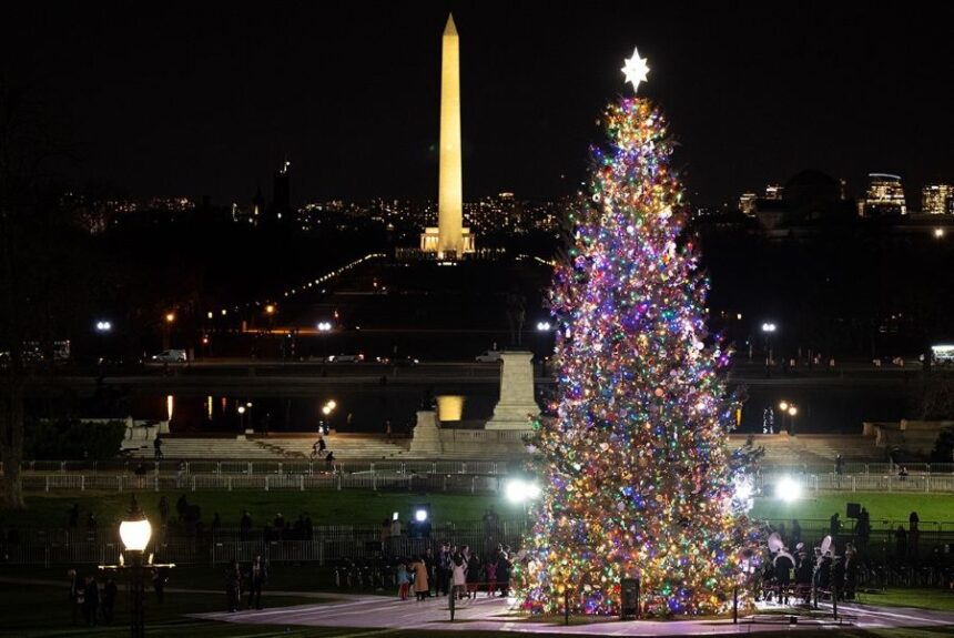 U.S. Capitol Christmas Tree