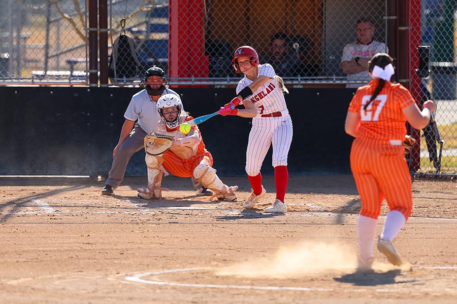 Highland Cedar Lacey