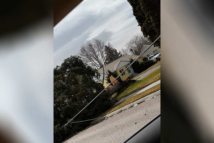 Wind took down this tree and power line on Higbee and East 23rd near Longfellow Elementary School in Idaho Falls | Courtesy Mackenzie Ceci