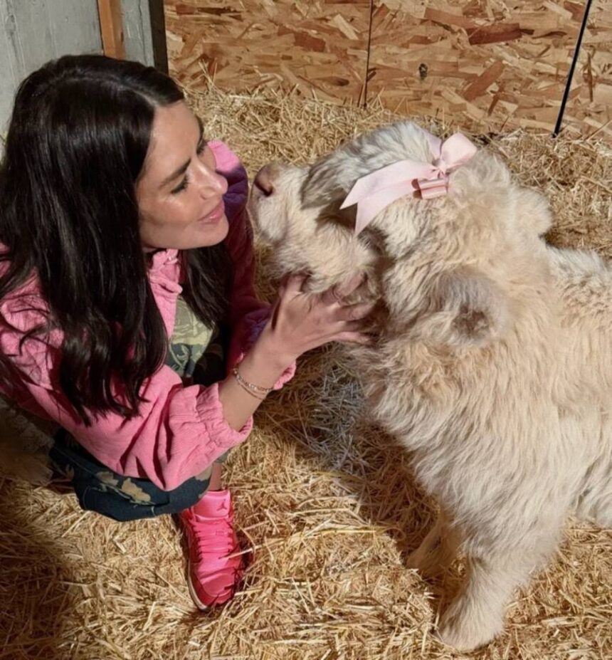 Shantell and one of her cows