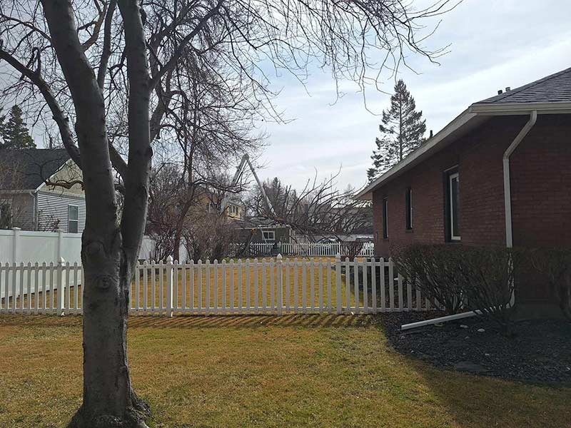 Tree down in a backyard near Higbee and 10th in Idaho Falls | Jesse Vosika, EastIdahoNews.com