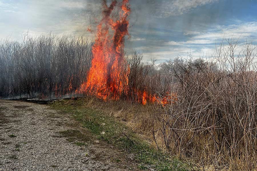River bottom fire in Madison County on March 25. Deputy Fire Chief Troyce Miskin says the blaze was started by a fire thought to be out, but sparked up again with afternoon winds. | Courtesy Troyce Miskin