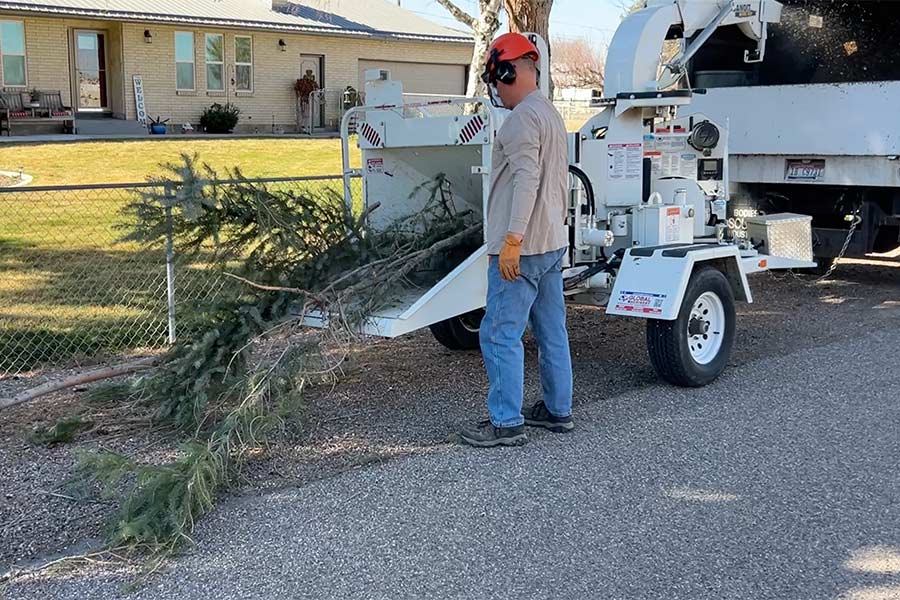 Ken Southwick running a branch through the grinder. | Rett Nelson, EastIdahoNews.com